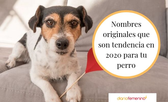 Bonitos y originales nombres que son tendencia en 2020